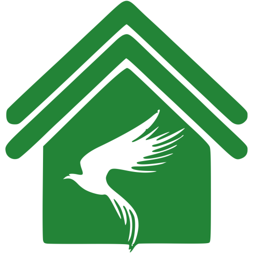 Home Falcon View Homes